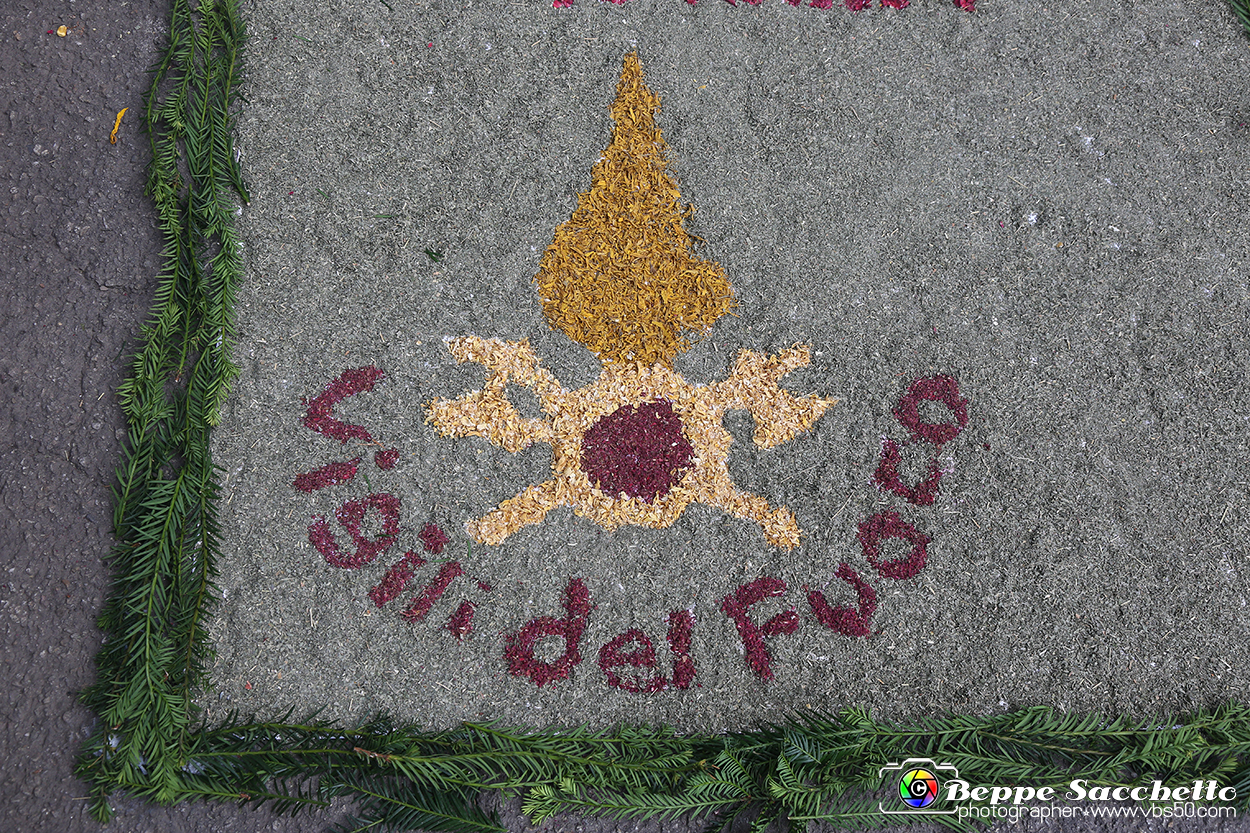 VBS_9657 - Infiorata di Villanova d'Asti 2023.jpg